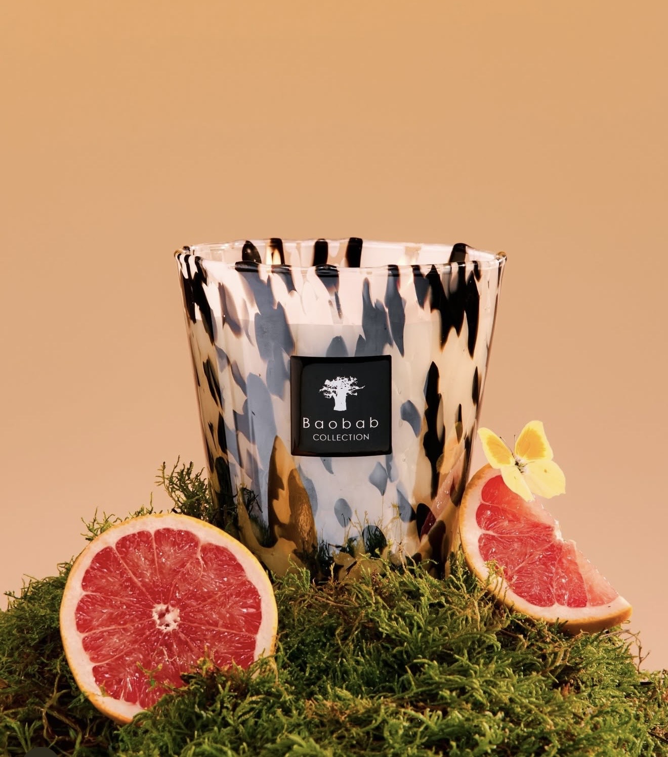 Baobab Collection