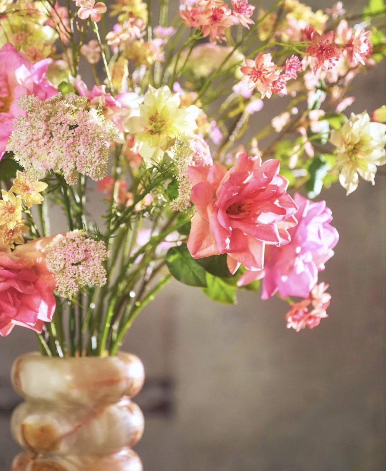 Flowers & Plants