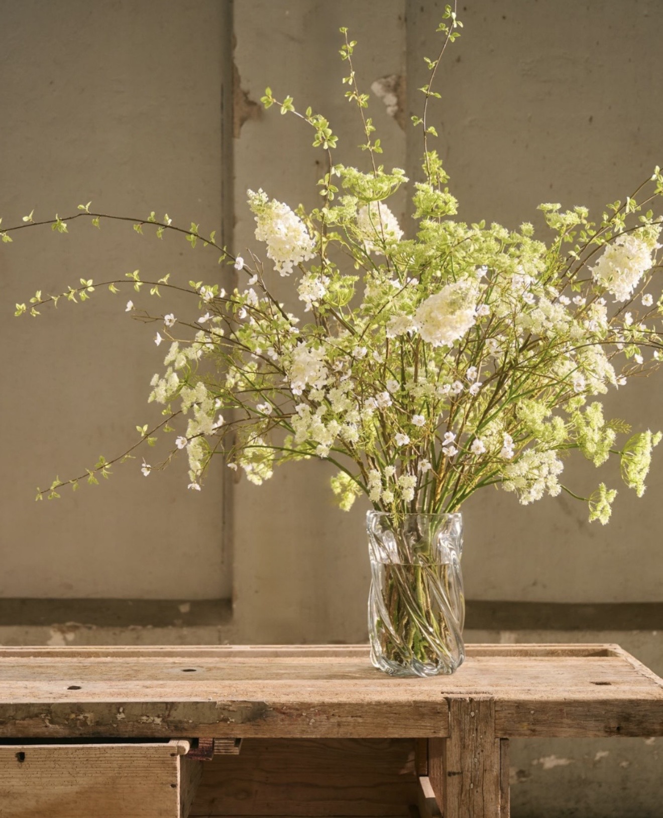 Flowers & Plants