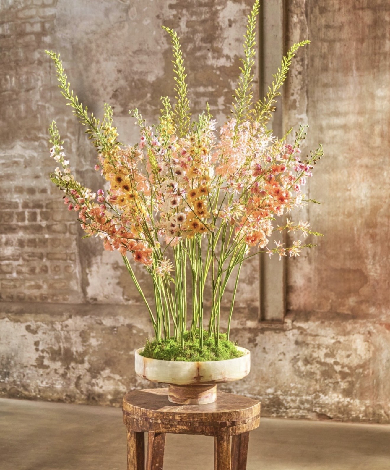 Flowers & Plants